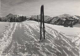 AK Hocher Freschen Nobspitze Vom Alpweg A Laterns Ebnit Mellau Damüls Rudach Alpwegkopfhaus Stempel Skifahrer Ski Winter - Bregenzerwaldorte