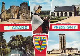 37 LE GRAND PRESSIGNY / MULTIVUES / BLASON - Le Grand-Pressigny
