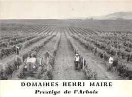 39-ARBOIS- DOMAINE HENRI MAIRE PRESTIGE DE L'ARBOIS - Arbois