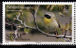 - 2017- BIRDS-  SAINT PIERRE Et MIQUELON-Common Yellowthroat- MNH Stamp - Oceania (Other)