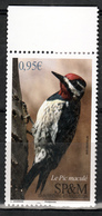 BIRDS- 2018 - SAINT PIERRE Et MIQUELON- 2018- Yellow-bellied Sapsucker- 1V- MNH - Autres - Océanie