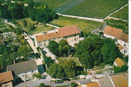 CHATEAU DE NANTOUX. Julien MONTCHOVET Propriétaire-Viticulteur. Nantoux - Meursault - Meursault