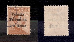 0517 OCCUPAZIONI - TRENTINO ALTO  ADIGE - 1918 - 20 Heller Su 20 Cent (30e) Con 2 Apposto A Mano (500) - Andere & Zonder Classificatie