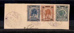 0631 COLONIE - SOMALIA - Eil Somalia Italiana 13.1.23 (viola-Pt.11) - Frammento Con Tre Valori Leone E Elefante (74+44/7 - Otros & Sin Clasificación