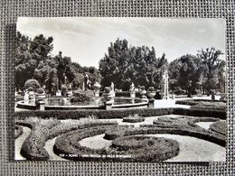 (FG.D29) ROMA - UNA VEDUTA DI VILLA BORGHESE - Parchi & Giardini