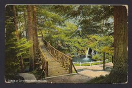 United States - Oregon Scene In City Park Portland [Mac Farlane 1144] - Portland