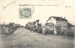 93 SEINE SAINT DENIS - BLANC MESNIL Avenue Des Bleuets "Avenir" 1ère Section - Le Blanc-Mesnil