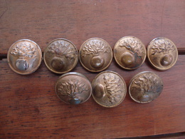 Lot Boutons Français  Grenade Or. - Buttons