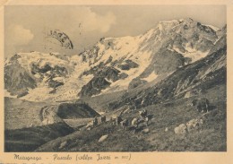 T.305.  MACUGNAGA - Pascolo (Alpe Jazzi) - 1938 - Autres Villes