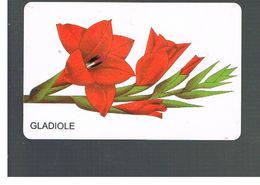 GERMANIA (GERMANY) -  1998 - FLOWERS: GLADIOLE   - RIF.   130 - Fleurs