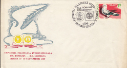 6234FM- ROMANIA-GERMANY PHILATELIC EXHIBITION, SPECIAL COVER, PIGEON STAMP, 1987, ROMANIA - Covers & Documents