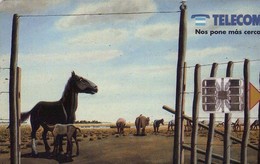 TARJETA TELEFONICA DE ARGENTINA (PINTURA, MOLINA CAMPOS 10) (017) - Argentina