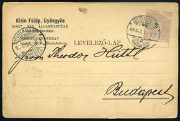 91013 GYÖNGYÖS 1899. Céges Levelezőlap, Budapestre Küldve, Klein Fülöp - Used Stamps