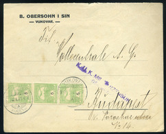 91036 VUKOVÁR 1917. Cenzúrázott, Céges Levél Budapestre Küldve, Obersohn - Used Stamps