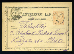 92721 CSÉPA   1874. 2 Kr-os Díjjegyes Levelezőlap Budapestre Steimbeck Jakab Nadály Kereskedőnek Király Utcza 45  /  CSÉ - Postal Stationery