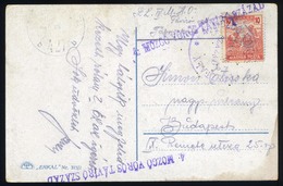 91254 1919. TANÁCSKÖZTÁRSASÁG , Képeslap, 4. Mozgó Vörös Távíró Század Bélyegzéssel - Used Stamps