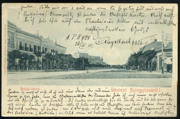 91320 NYÍREGYHÁZA 1901. Régi Képeslap , Friedmann üzlete  /  NYÍREGYHÁZA 1901 Vintage Pic. P.card Friedmann's Store - Ungheria