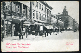 91301 BUDAPEST 1900. Károly Körút, üzletek, Régi Képeslap  /  BUDAPEST 1900 Károly Blvd., Stores, Vintage Pic. P.card - Hungary