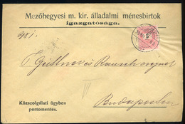 91327 MEZŐHEGYES 1899. Ménesbirtok, Céges Portómentes Boríték 5Kr-ral Budapestre Küldve - Used Stamps