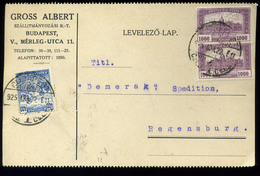 92529 BUDAPEST 1925. Gross Albert, Inflációs Véges Levelezőlap Németországba Küldve  /  BUDAPEST 1925 Albert Gross Infla - Used Stamps