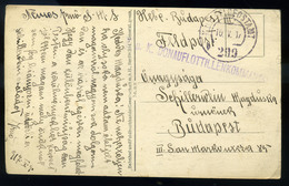 92065 K.u.K. HADITENGERÉSZET I.VH 1917 Képeslap FP 299 és Donauflottilenkommando Bélyegzéssel - Used Stamps