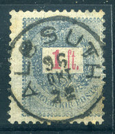 91199 ALCSUTH 1896. 1Ft Szép Bélyegzés  /  ALCSUTH 1896 1 Ft Nice Pmk - Gebruikt