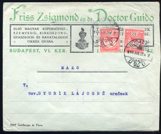 91140 BUDAPEST 1914. Dekoratív, Céges Levél 2*10f-rel Makóra Küldve  /  BUDAPEST 1914 Decorative Corp. Letter 2*10 F To  - Usado