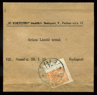 92517 BUDAPEST 190.. Szép Előnyomott Címszalag, Hírlapbélyeggel  /  BUDAPEST 190... Nice Pre-printed Wrapper - Used Stamps