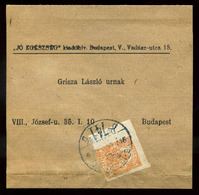 92517 BUDAPEST 190.. Szép Előnyomott Címszalag, Hírlapbélyeggel  /  BUDAPEST 190... Nice Pre-printed Wrapper - Gebraucht