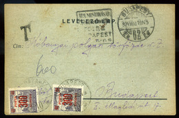 92513 BUDAPEST 1924. Helyi Levelezőlap , 2*300K Portózással - Oblitérés