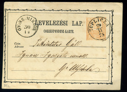 92599 TOPLICA / Toplița Mureșului  Díjjegyes Levlap,szép Bélyegzéssel (250p)  /  TOPLICA Stationery P.card Nice Pmk (250 - Gebraucht