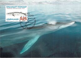 GROENLAND CARTE MAXIMUM  NUM.Yvert 285 MAMMIFERE MARIN - Maximumkarten (MC)