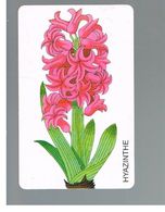 GERMANIA (GERMANY) -  1998 - FLOWERS: HYACINTH  - RIF.   136 - Fleurs