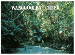 (795) Australia - QLD  - Wanggoolba Creek - Far North Queensland