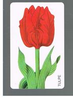 GERMANIA (GERMANY) -  1999 -  FLOWERS: TULIP   - RIF.   139 - Fleurs