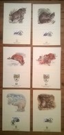 Lot De 6 Cartons Timbres WWF Official Proof Edition - Collections, Lots & Series