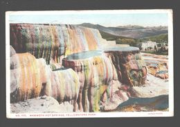 Yellowstone Park - Mammoth Hot Springs - 1908 - Yellowstone
