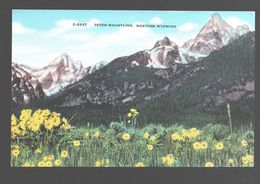 Teton Mountains - Western Wyoming - 1946 - Other & Unclassified