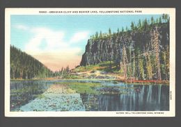 Yellowstone National Park - Obsidian Cliff And Beaver Lake - Linen - 1946 - Yellowstone