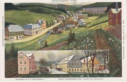 Litho AK Tannenbergsthal Vogtland Gasthof Warenhaus Zimmermann Muldenhammer Grünbach Gottesberg Rautenkranz Klingenthal - Schönheide