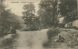52 POISSONS /Le Pont Tremblant / - Poissons