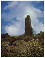 (123) Australia - (with Stamps At Back Of Card) - NSW - Breadknife Rock Formation - Bunbury