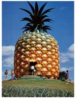 (123) Australia - QLD - Big Pineapple (near Nambour) - Sunshine Coast