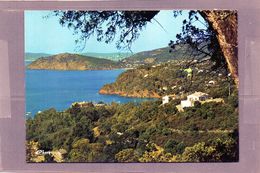 Le Rayol - Vue Générale - Rayol-Canadel-sur-Mer