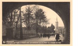 Beauraing - CPA - L'Entrée Du Parc, L'arbre Des Apparitions Et Le Pont - Beauraing