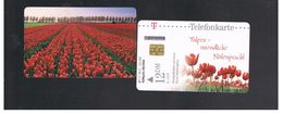 GERMANIA (GERMANY) -  2001 - FLOWERS. TULIPS - RIF.   171 - Fleurs