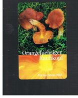 GERMANIA (GERMANY) -  2002 -  MUSHROOMS: CORTINARIUS ORELLANUS  - RIF.   192 - Alimentation