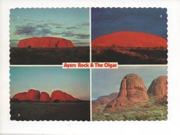 (NT)   AYERS ROCK & THE OLGAS - Sin Clasificación