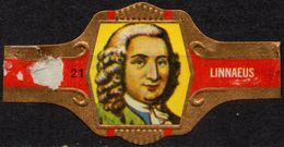 Netherlands / Linnaeus - CIGAR Label Vignette - Etiquetas