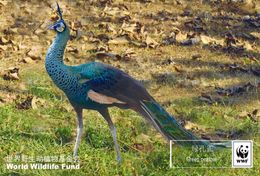 (NZ78-87 ) Peacock Green Peafowl   Birds  WWF Endangered Species, Pre-stamped Card Postal Stationery-Postsache - Pauwen